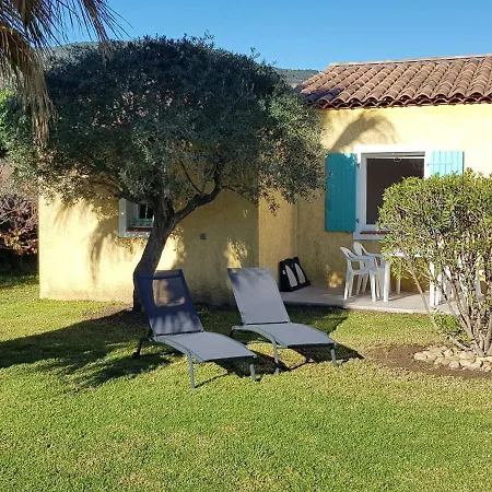 T3 Climatise Avec Jardin Et Terrasse A 200m De La De - Fr-1-100-249 Lejlighed *